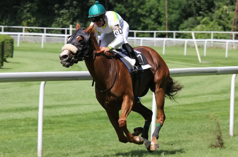 Environmental Sustainability in Horse Racing