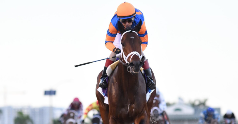 Everything You Need to Know About the Kentucky Derby