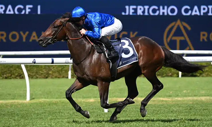 DIY Race Day Decorations