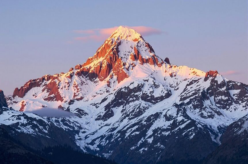 neural technology advancements explored